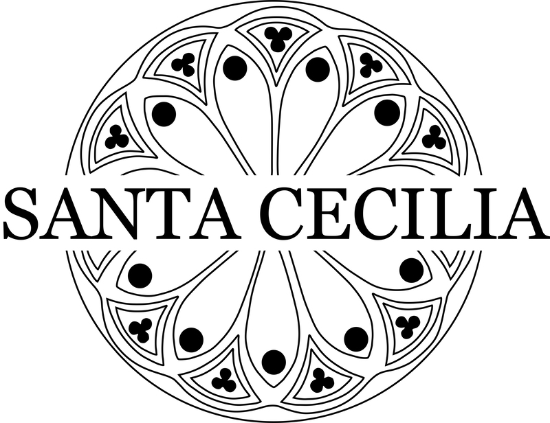 societa-brothers-srls